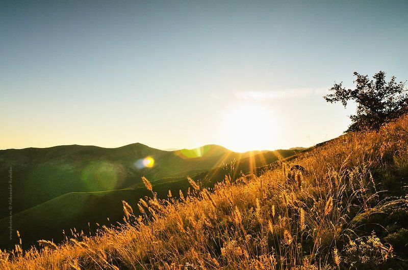 В конце лета фото превью