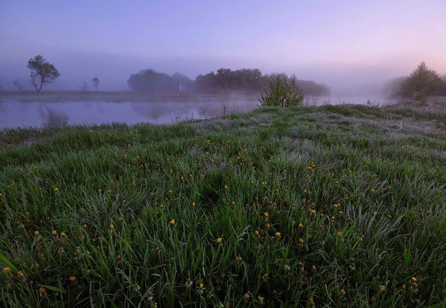 утро, река, весна, тишина, Роман Шебанов