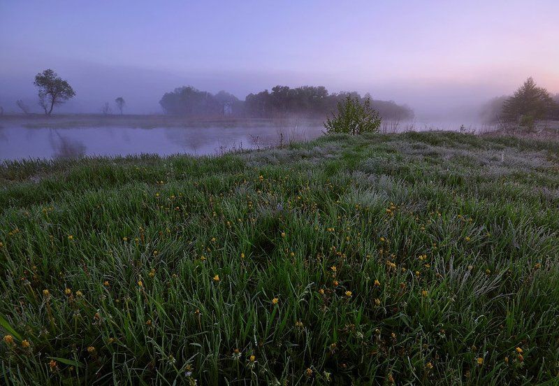 утро, река, весна, тишина весенние утро на реке фото превью