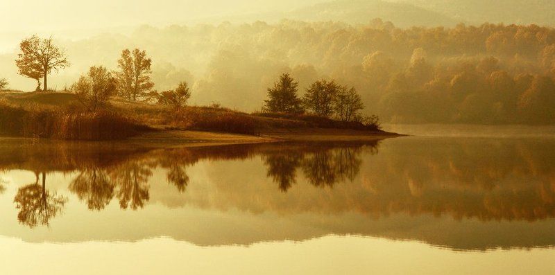reflection фото превью
