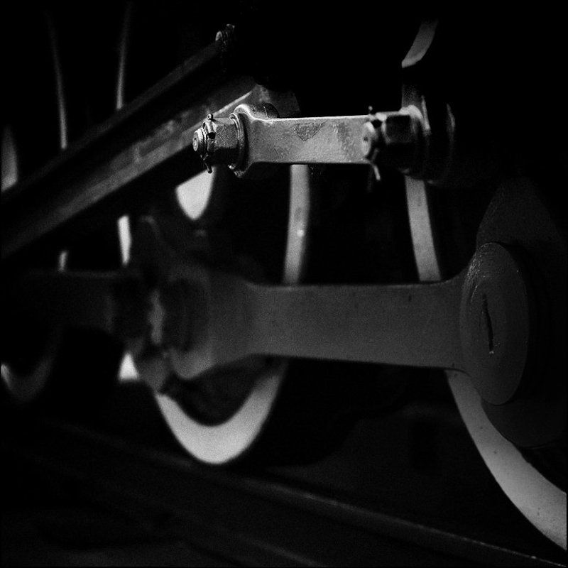 Circumference фото превью