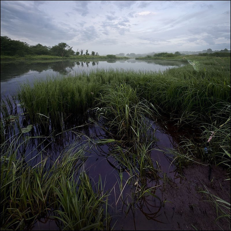 Тишина. фото превью