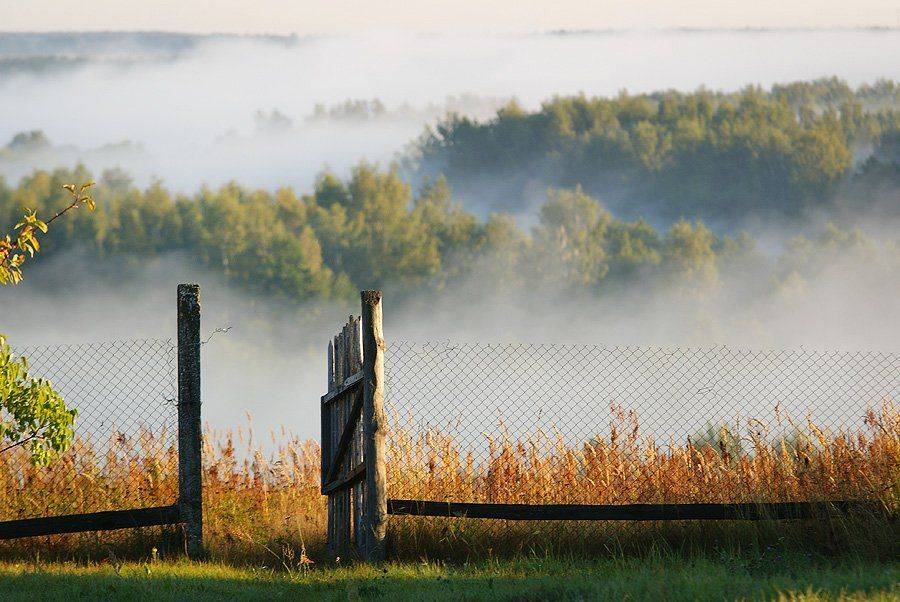 , Владислав.