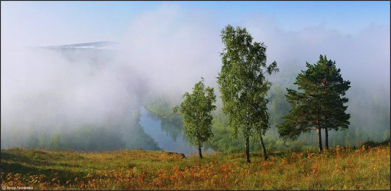нсо, малиновка, новососедово, бердь, река, туман,  иванов пуп, салаирский кряж, аня графова *** фото превью