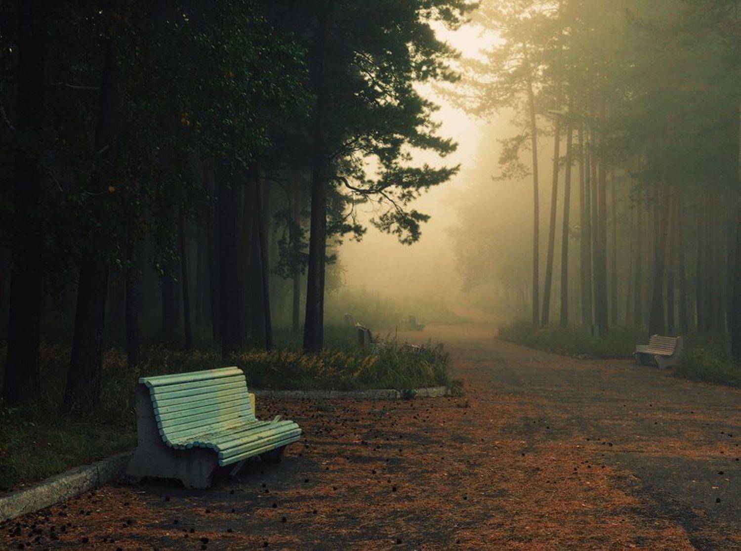 , Олег Пожарков