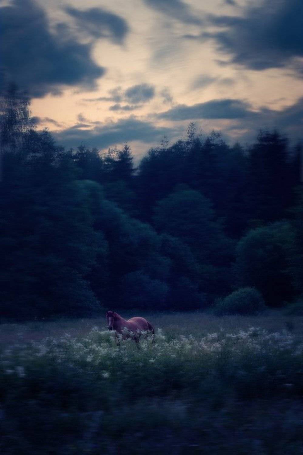 , Дмитрий Тараторкин