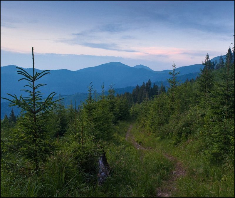 мармаросы, граница, румыния Приграничная тропа фото превью