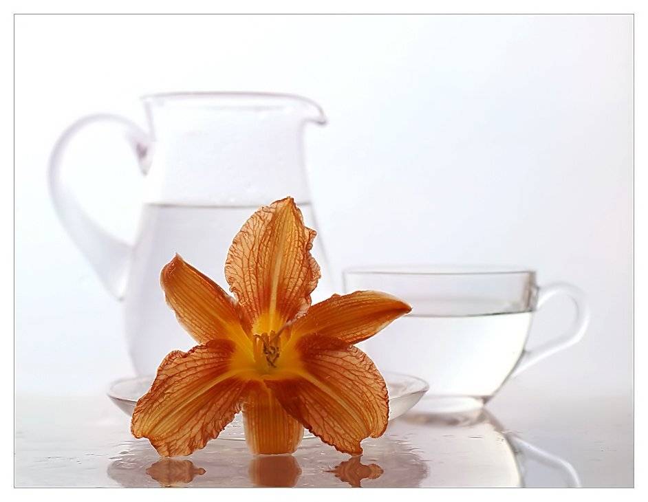 , Ирина Фурашова