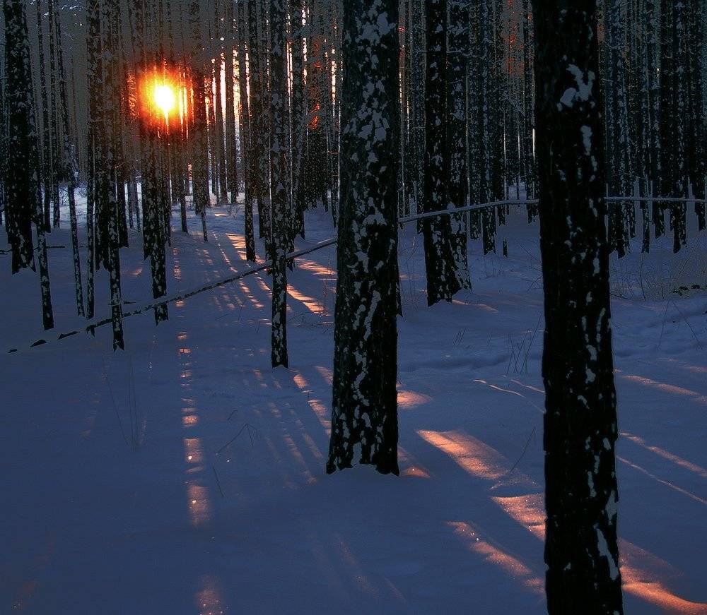 , Николай Морский