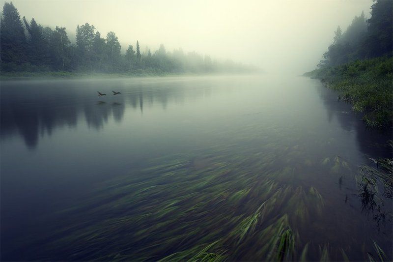 На реке