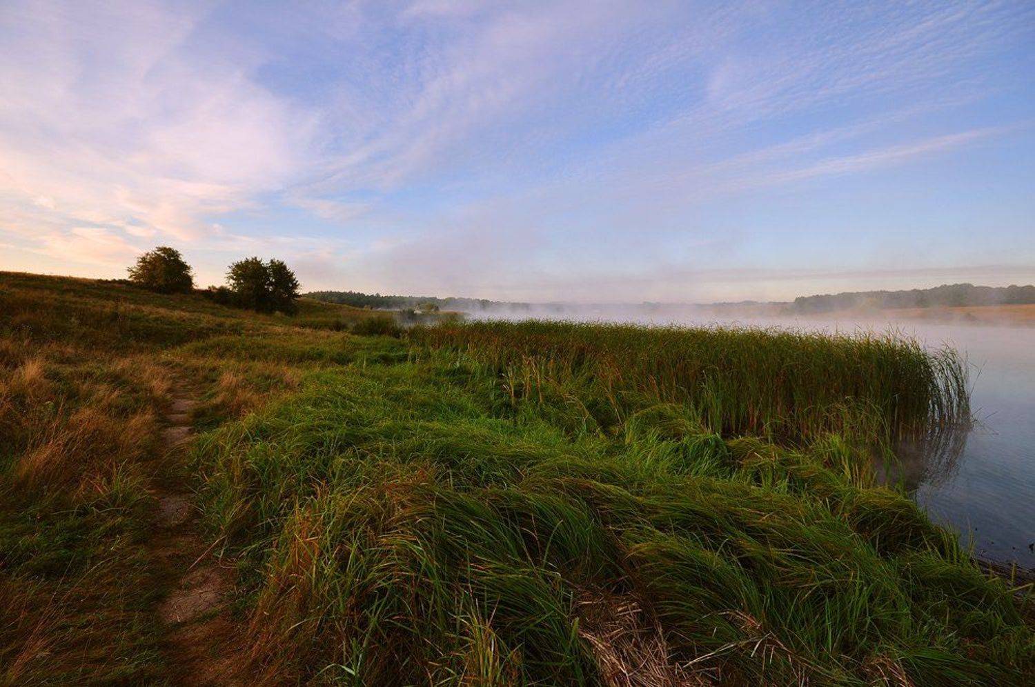 утро, тишина, туман, тропа, Роман Шебанов