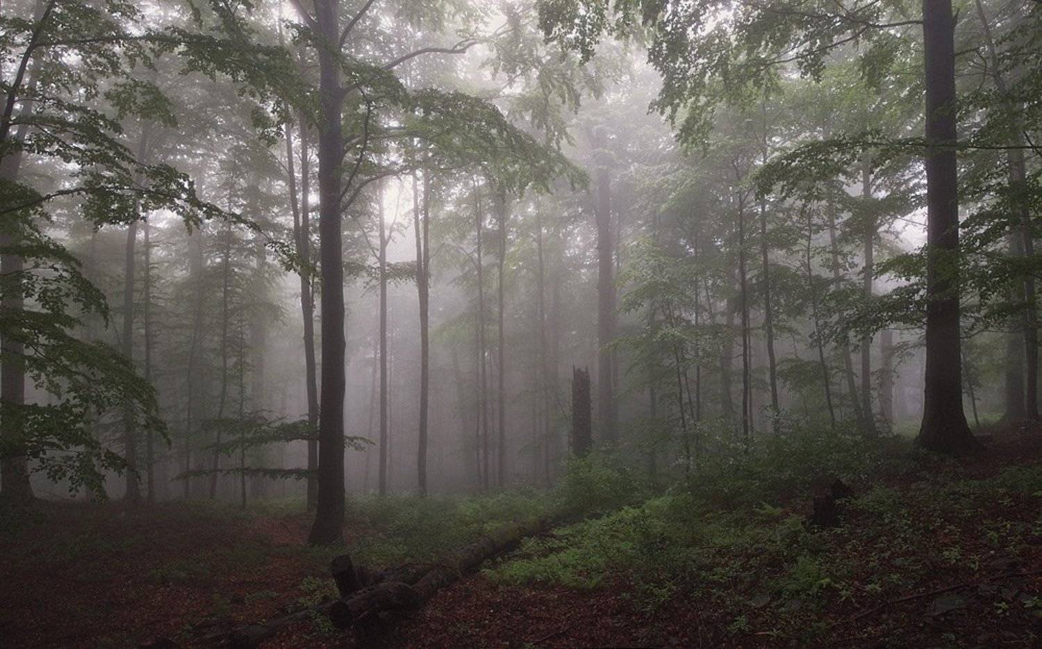 , Александр Ящук
