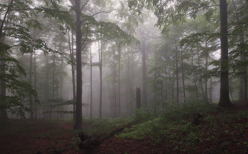 ... фото превью