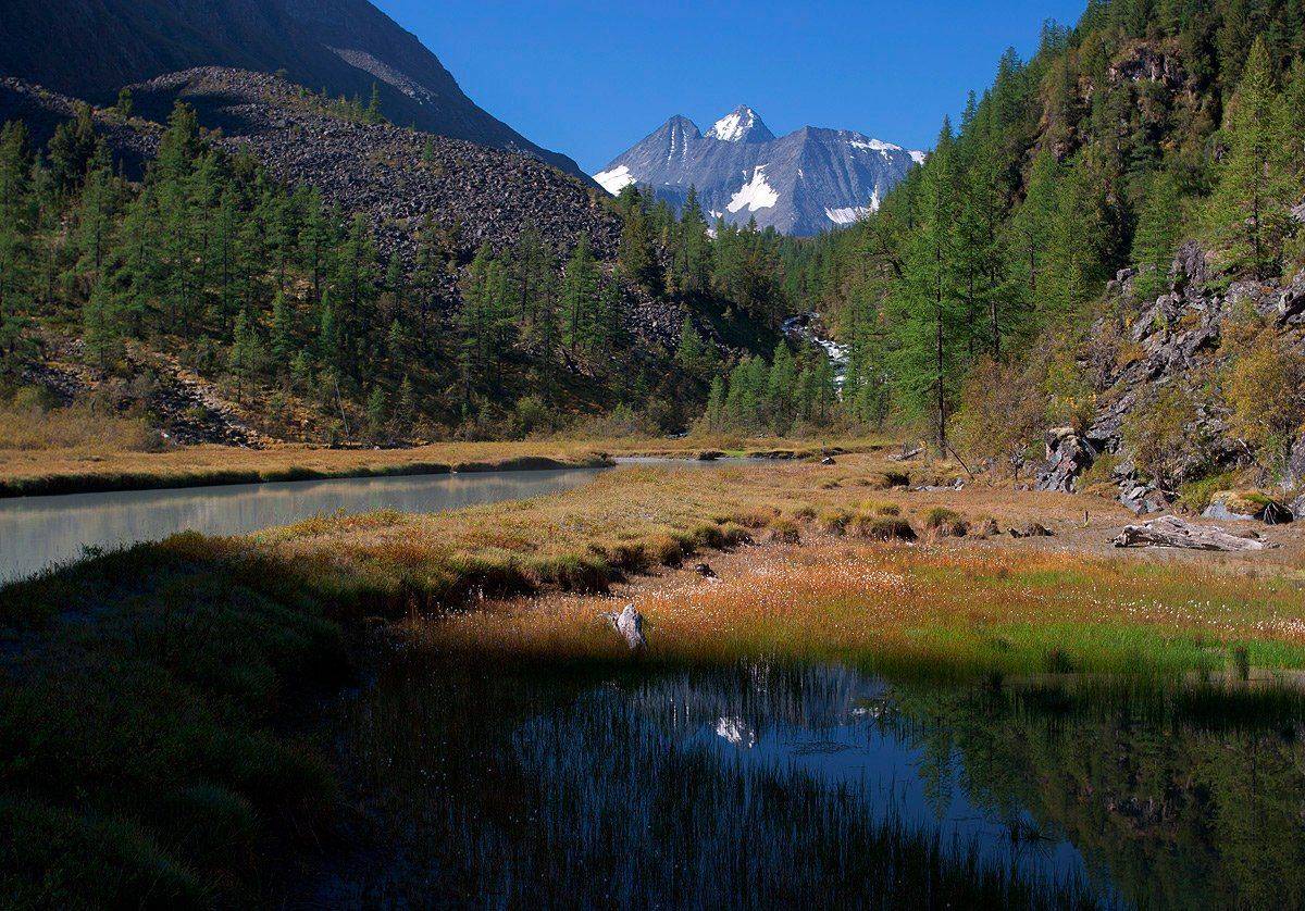 алтай, куркуре, Артем Головин