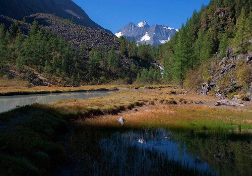 Утром в распадке Куркуре