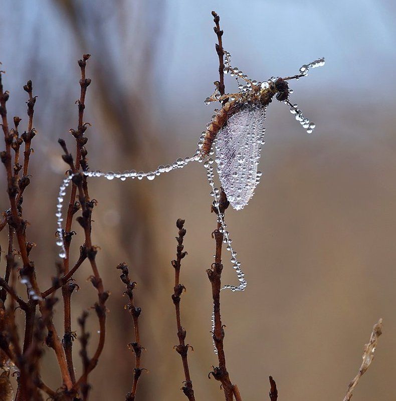танец у шеста фото превью