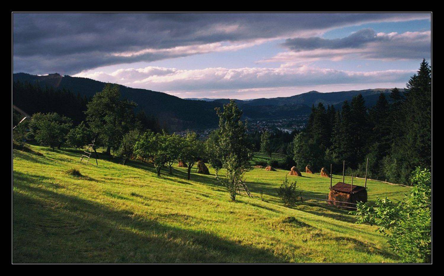 карпаты, sshestov