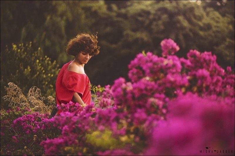 Flowers фото превью