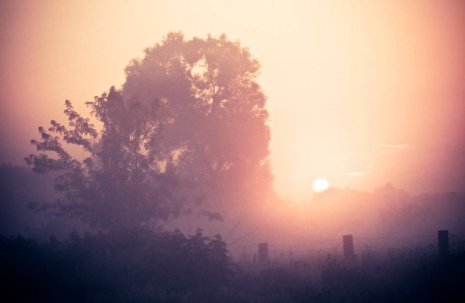 , Юрий Вертиков