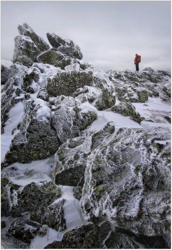 Первым дождаться зимы