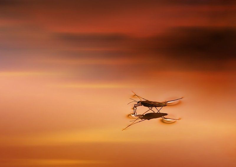 Между небом и водой фото превью