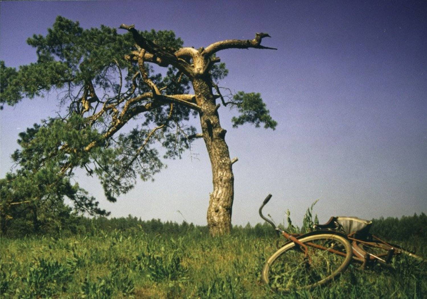 велосипед, andrey