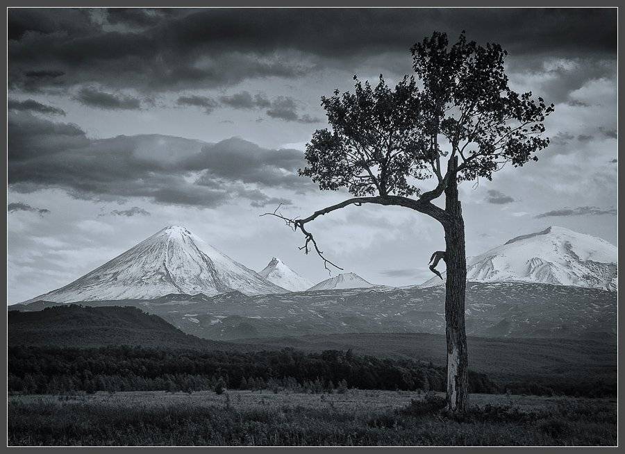 , Сергей Захаров.