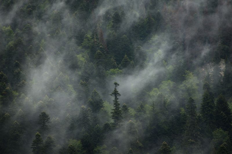 В облаках фото превью