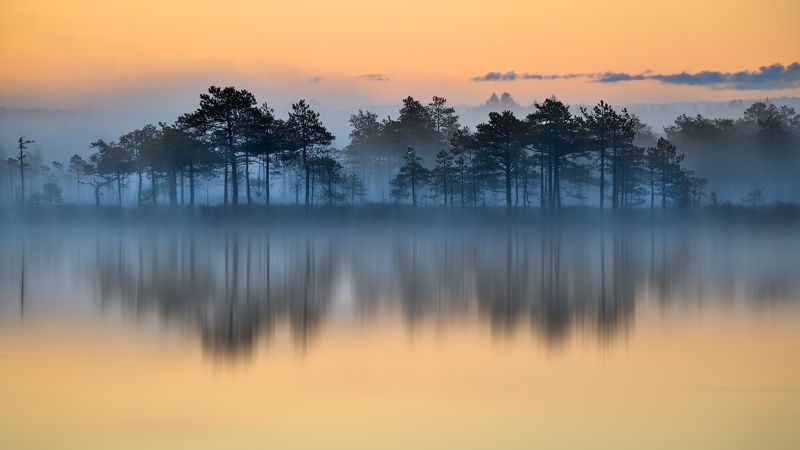 Ziwa фото превью