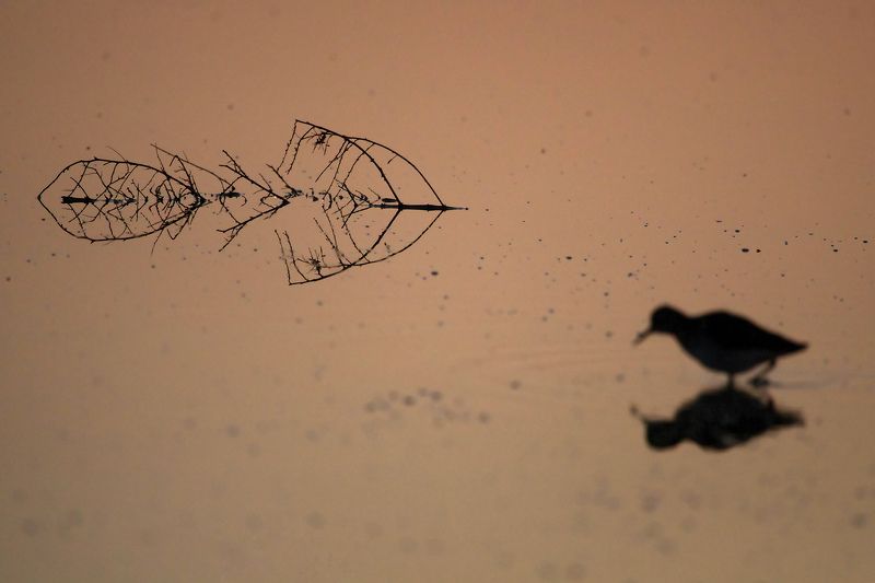 Утреннее фото превью