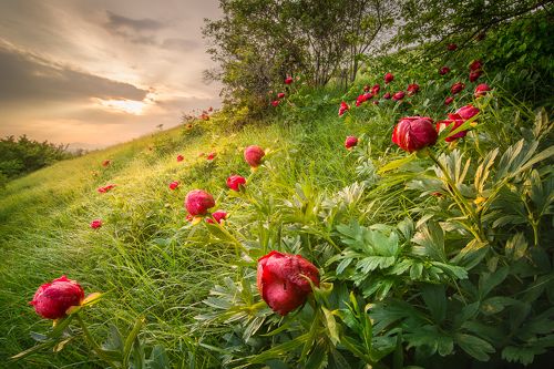 Landscapes in Bulgaria