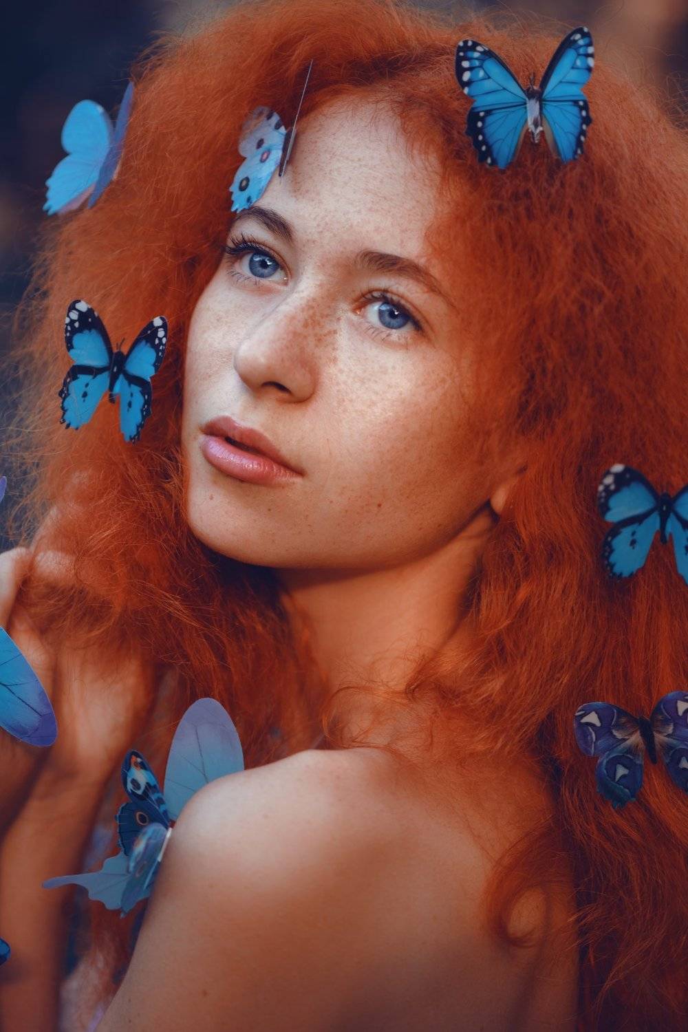 , Анастасия Добровольская