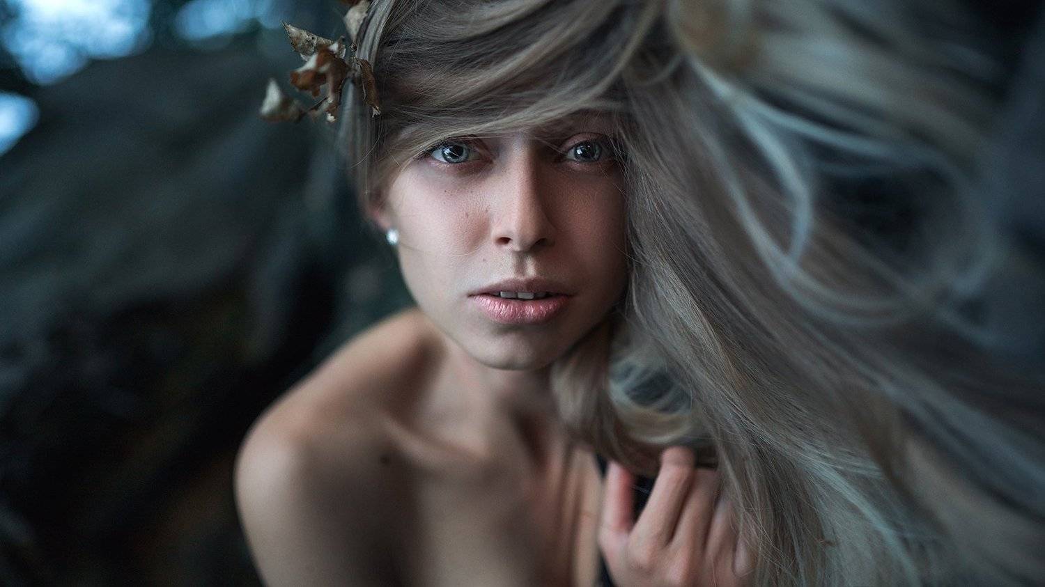 , Максим Густарев