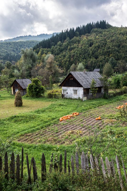 *** фото превью