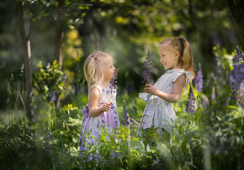 фото превью