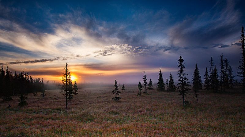 восход,туман,заморозок,коми,печора Восход фото превью