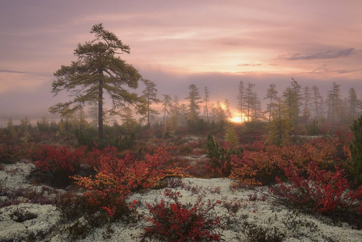 , Максим Евдокимов (phototourtravel.ru)