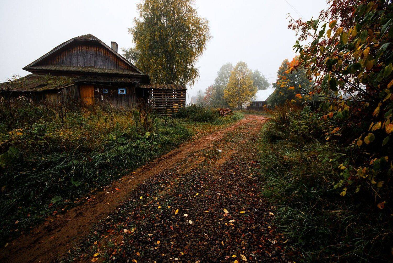 осень,природа,вятка, Карепанов Евгений