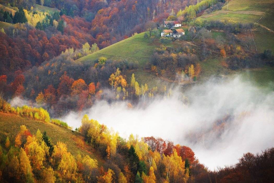 , Stefan Chirobocea