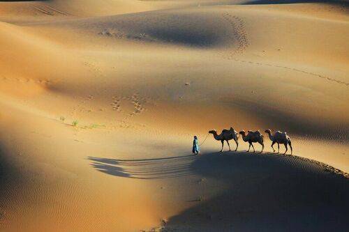 At desert 3