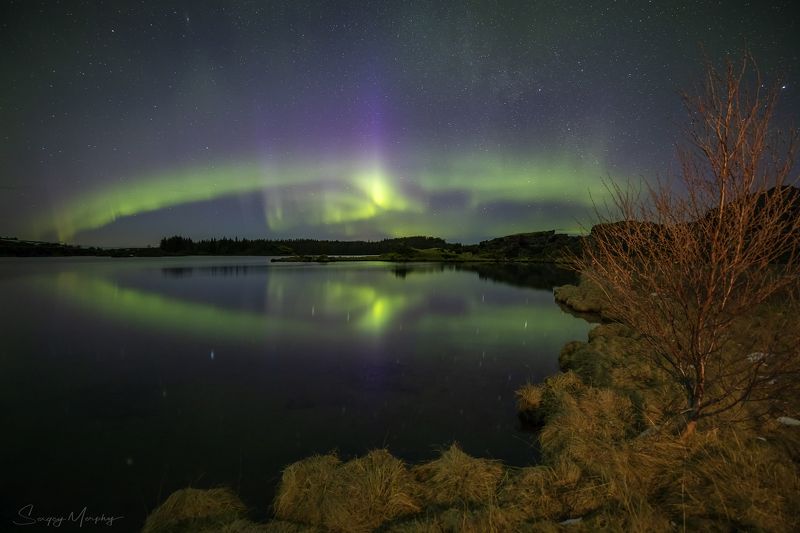 myvatn lake. iceland. northern lights Northern lights & Myvatn Lake. Iceland. фото превью