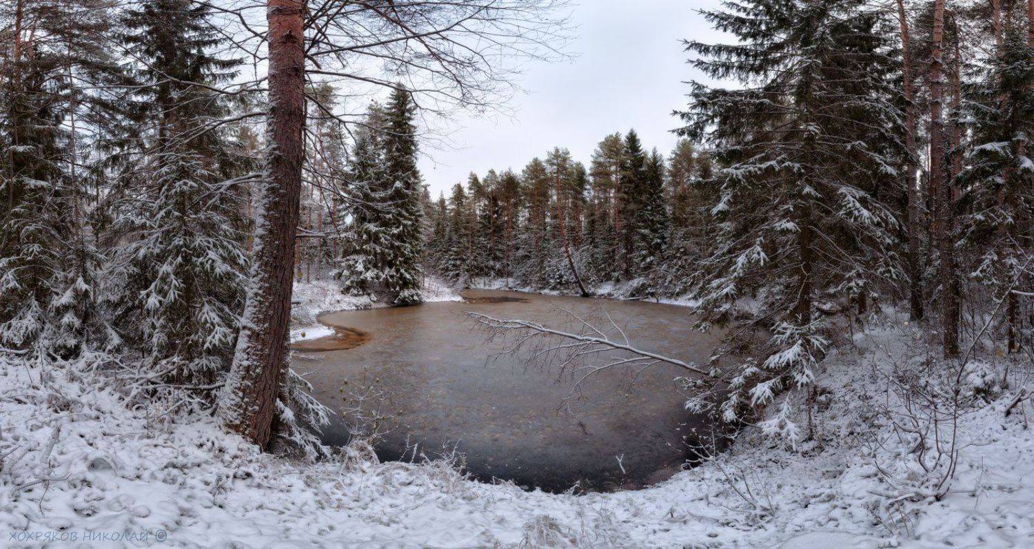 , Хохряков Николай