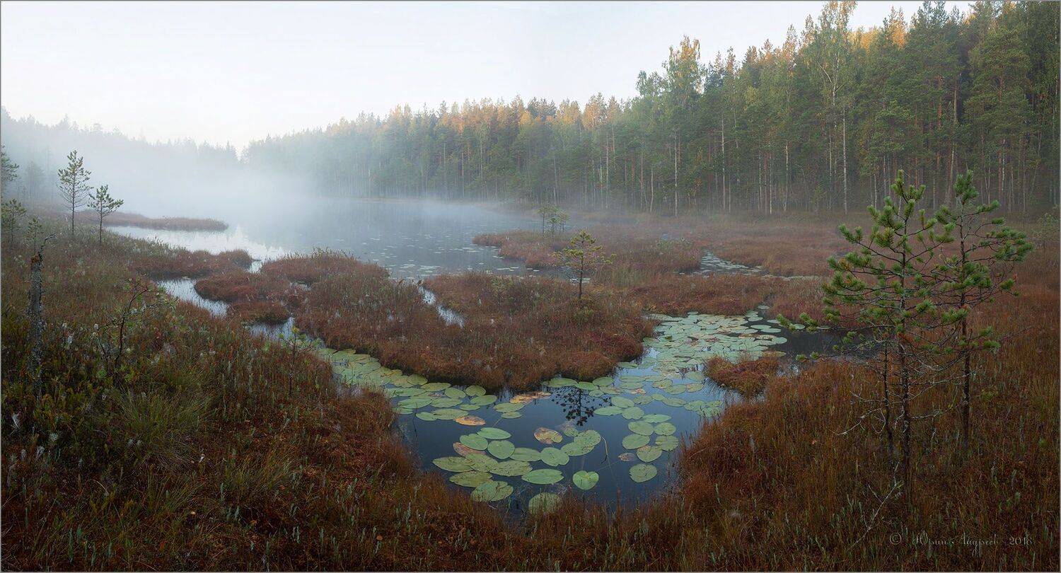 озеро болото туман лес, Юрий Андреев