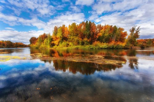 Краски осени