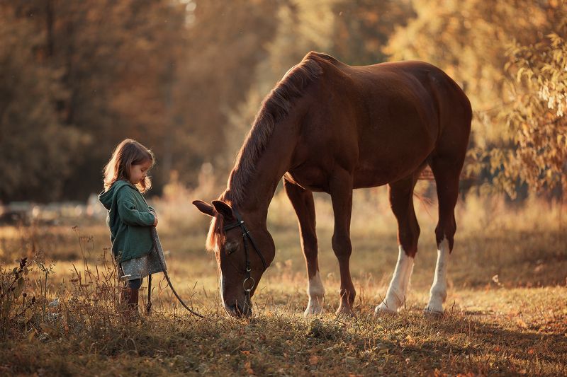 *** фото превью
