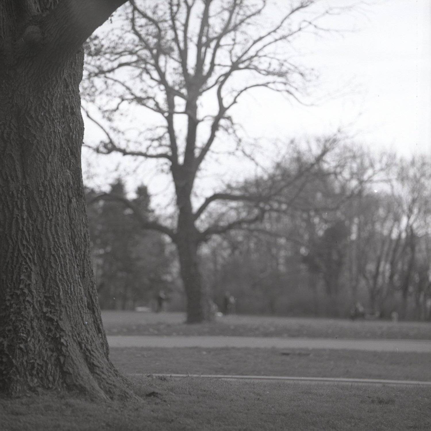 film, пленка, middle, format, Evgeny Ivanov