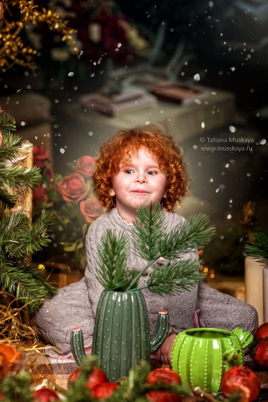 новогодняя фотосессия  фото превью