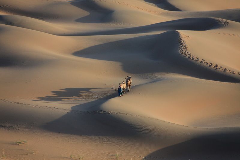 At desert 4 фото превью