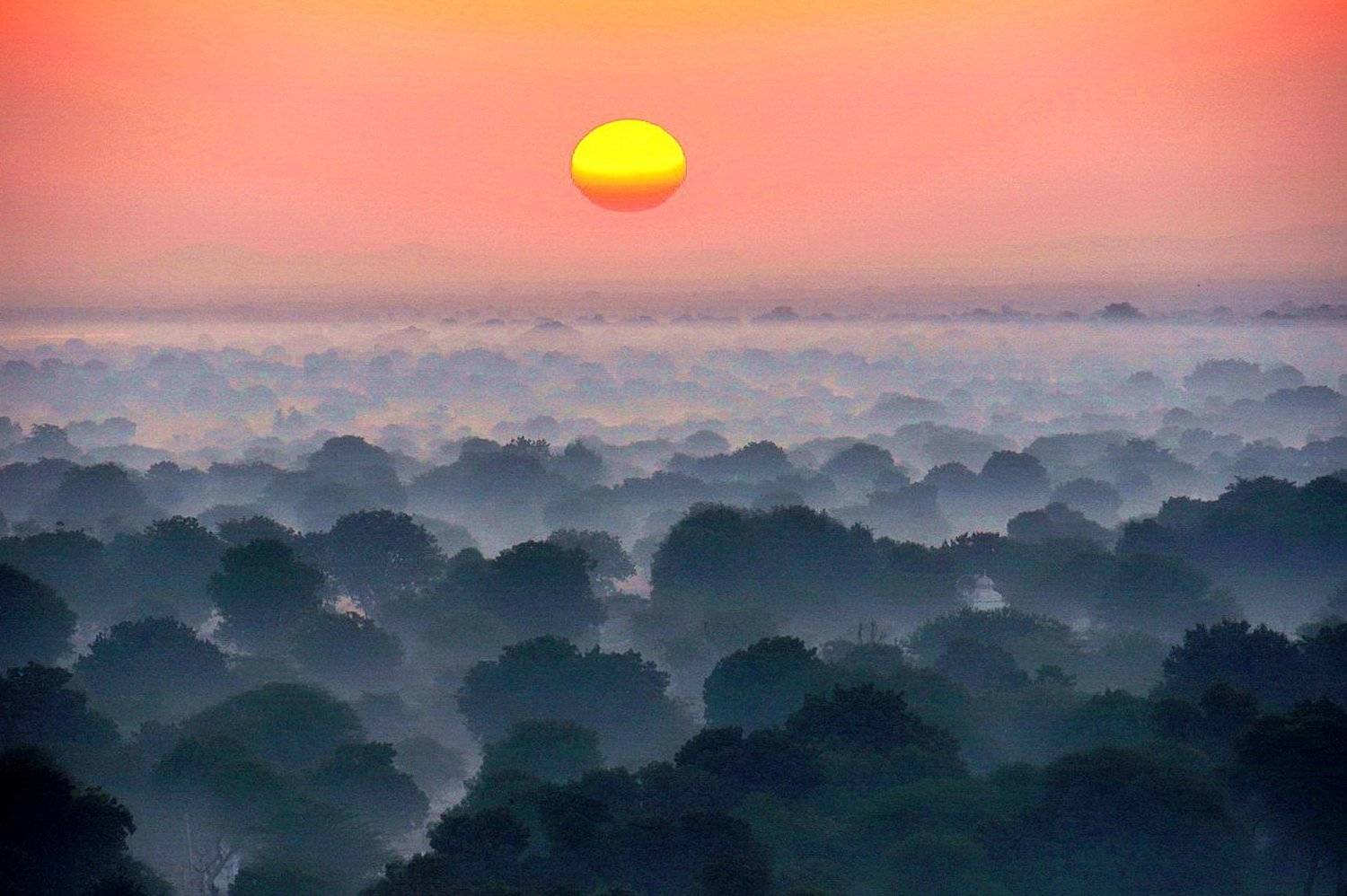 , Inkol Yu  유인걸