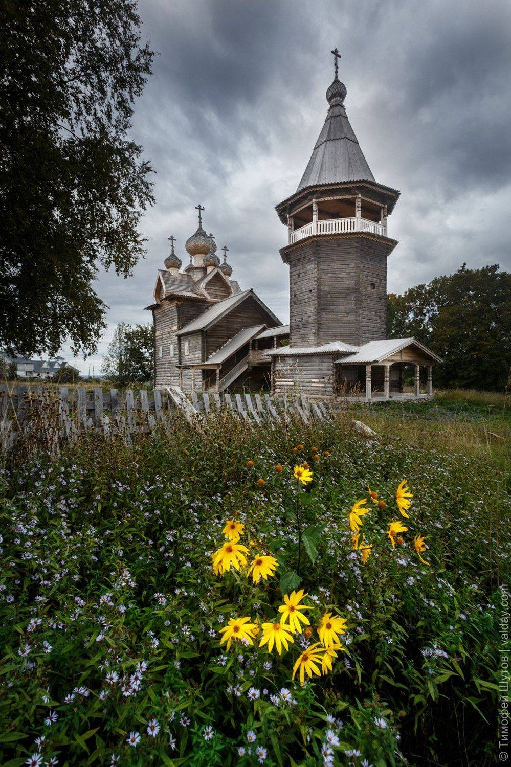 , Тимофей Шутов